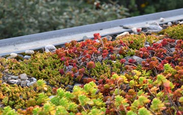 the cost of Ealing green roof installation