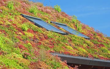 Ealing living roof systems