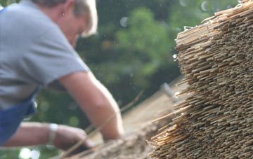 professional Ealing thatchers